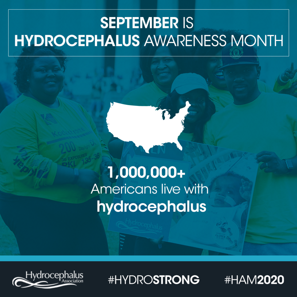 Live Feed Royse City ISD